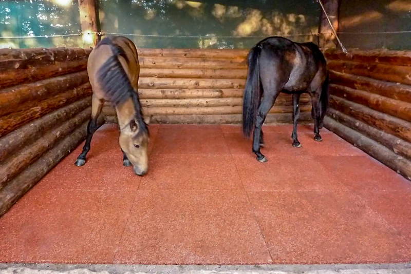 The open stable or pasture hut is only a weather protection for the horses; the building is always open and the horses can go in and out as they please. This is why the entire open stable or pasture hut is covered with WARCO stable mats.