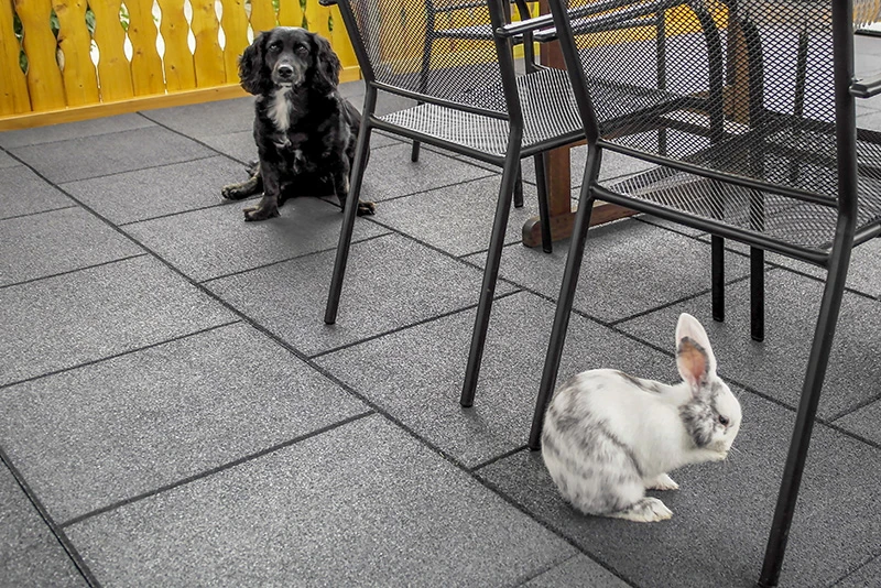 A rabbit and a dog enjoy their time in peaceful harmony on a patio covered with a resilient and heat-insulating floor covering from WARCO.