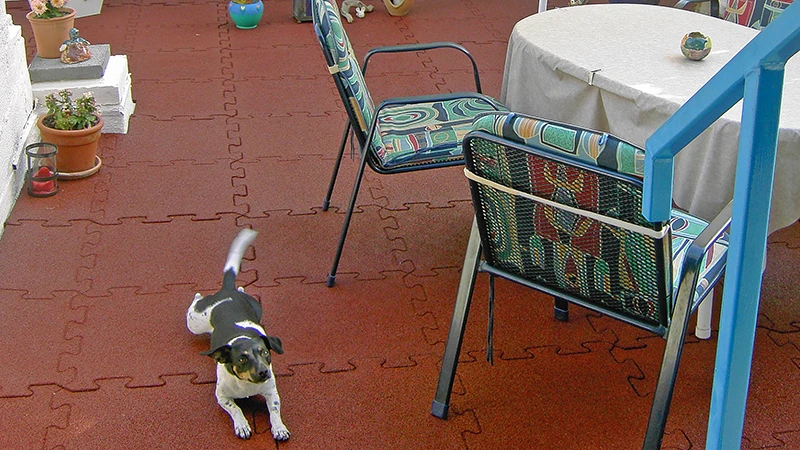 Na fotografii je balkon pokrytý červenými puzzle dlaždicemi WARCO. Malý pes se volně pohybuje po elastickém, protiskluzovém povrchu, zatímco posezení láká k společnému trávení času. Podlaha chrání podklad před vlhkostí a poškozením, je snadno udržovatelná a odolná vůči počasí. Díky tomu zůstává venkovní prostor pohodlným místem k odpočinku po dlouhá léta.